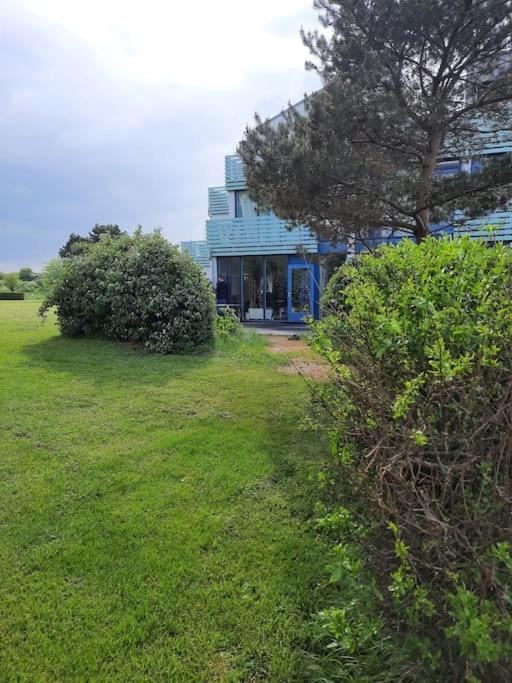 Erdgeschoss-Wohnung Nahe Am Meer Cadzand Esterno foto